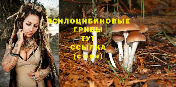 MDMA Алзамай